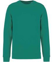 Image for NS400 GEM XL